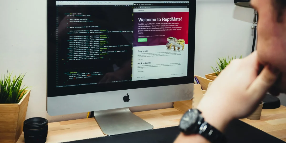 web development